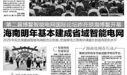 海南特区报新闻爆料视频,视频揭露惊人内幕